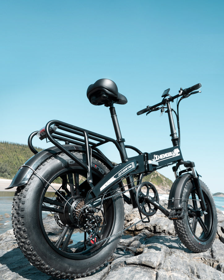 Zhengbu Electric Bike NXB Ebike – Zhengbu Ebike
