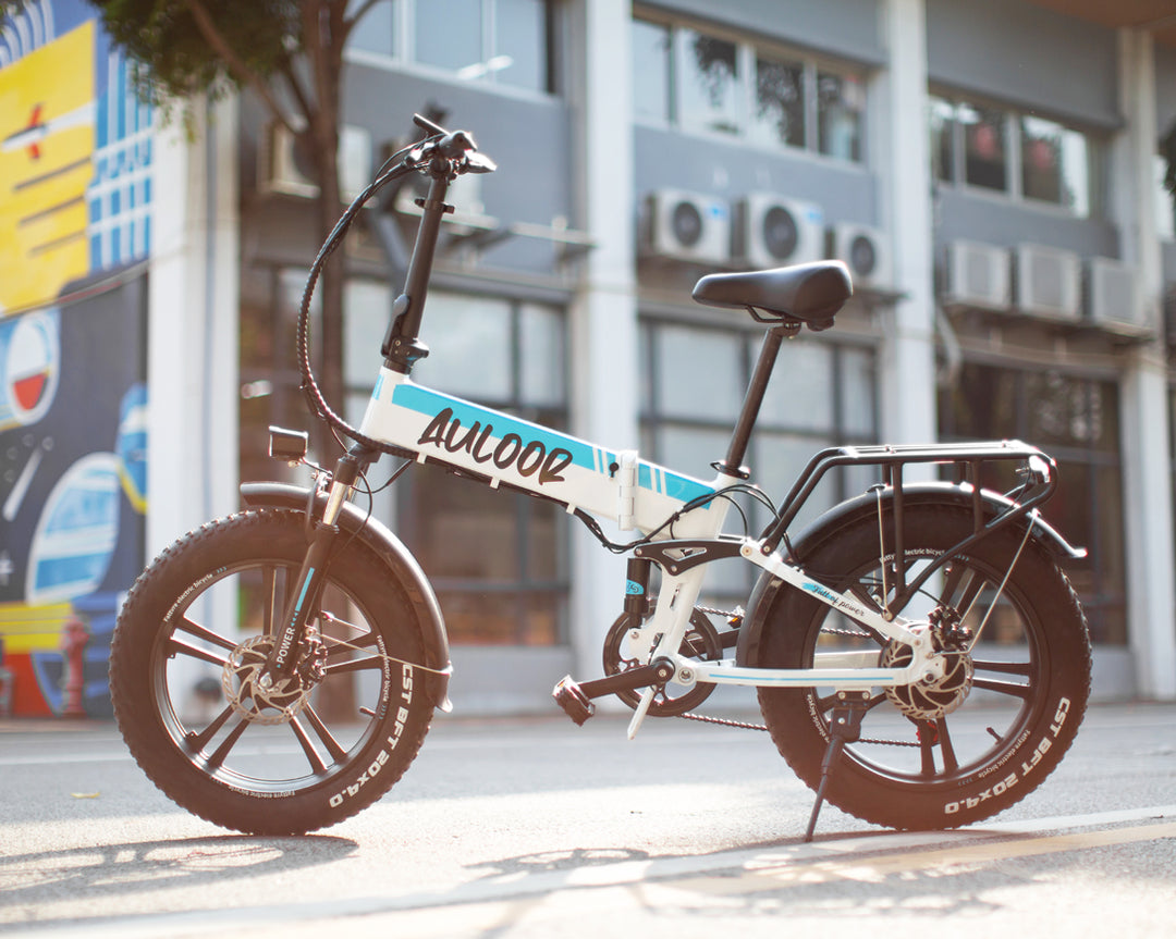 ZHENGBU Fat Tire Electric Bike – Zhengbu ebike