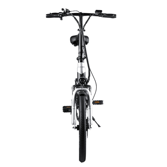 ZHENGBU Fat Tire Electric Bike – Zhengbu ebike